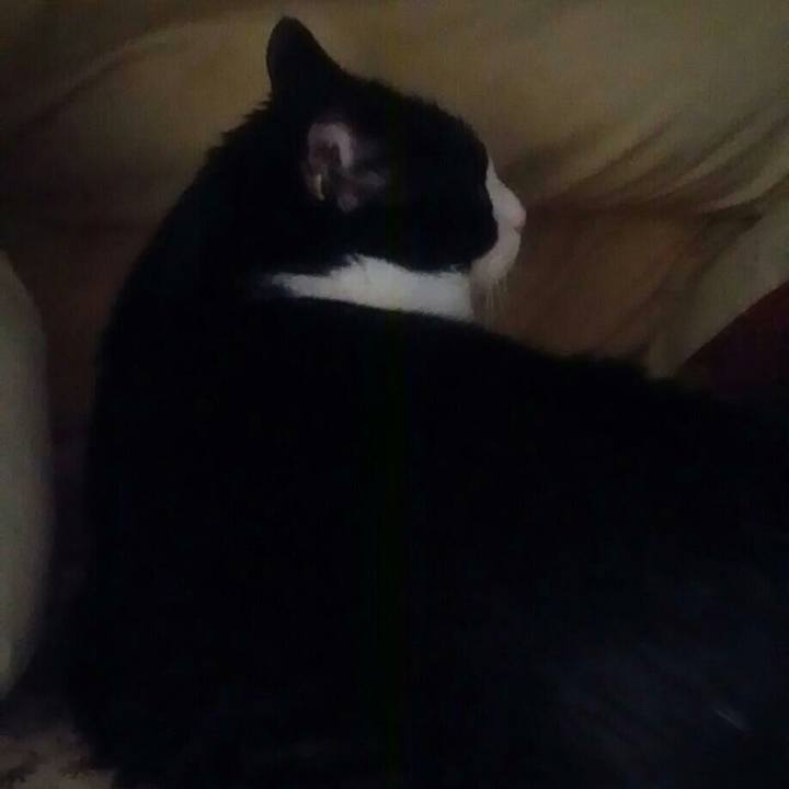 758c1489 7494 4fce bdf6 c64cbe6b6457