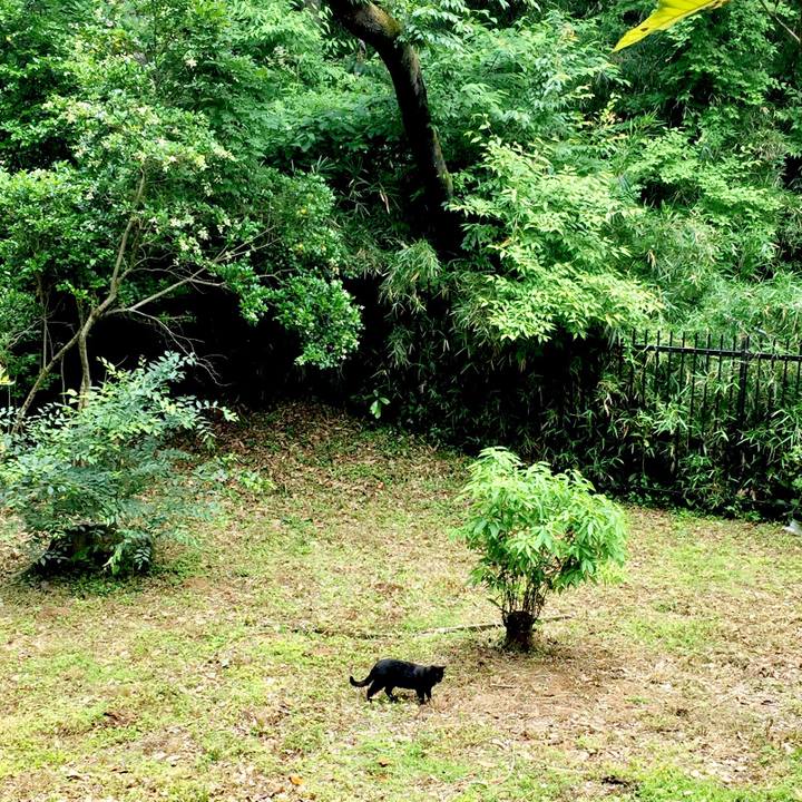 758ca220 d22d 4941 8829 ee8bd4407592