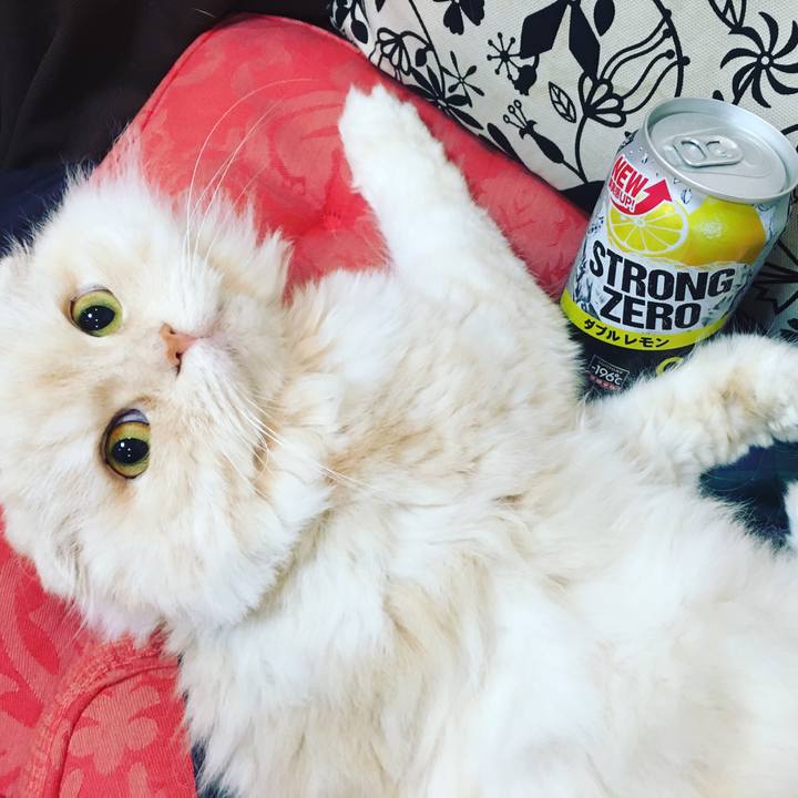 758cc9be 167c 4094 aae1 aa79354279fe