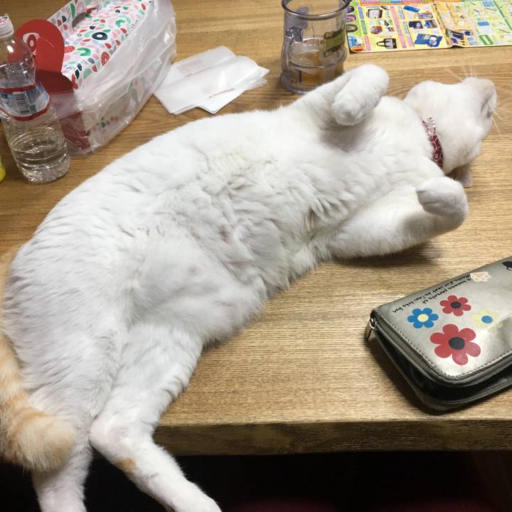 758cd068 e079 4e86 afd3 c3a22cbe4636