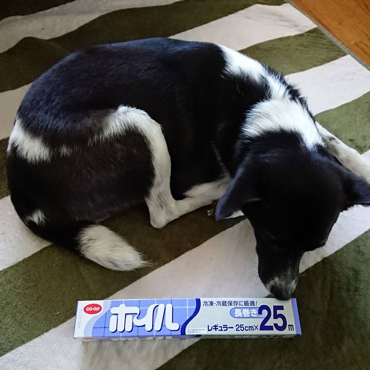 758ce4fe 7e76 4dda 844b a202d5eba6b4