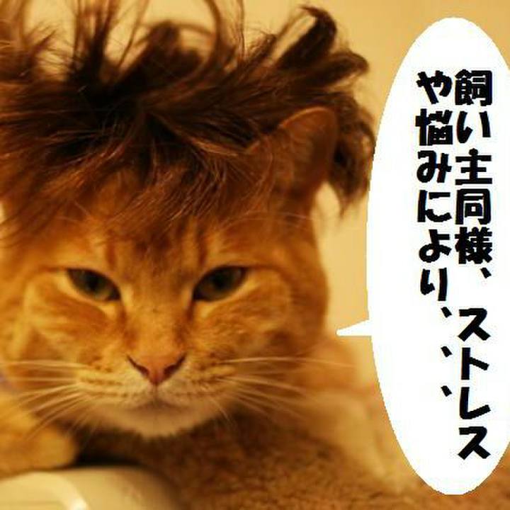 758d58c0 d46f 4b9d ab08 f3bf04748259