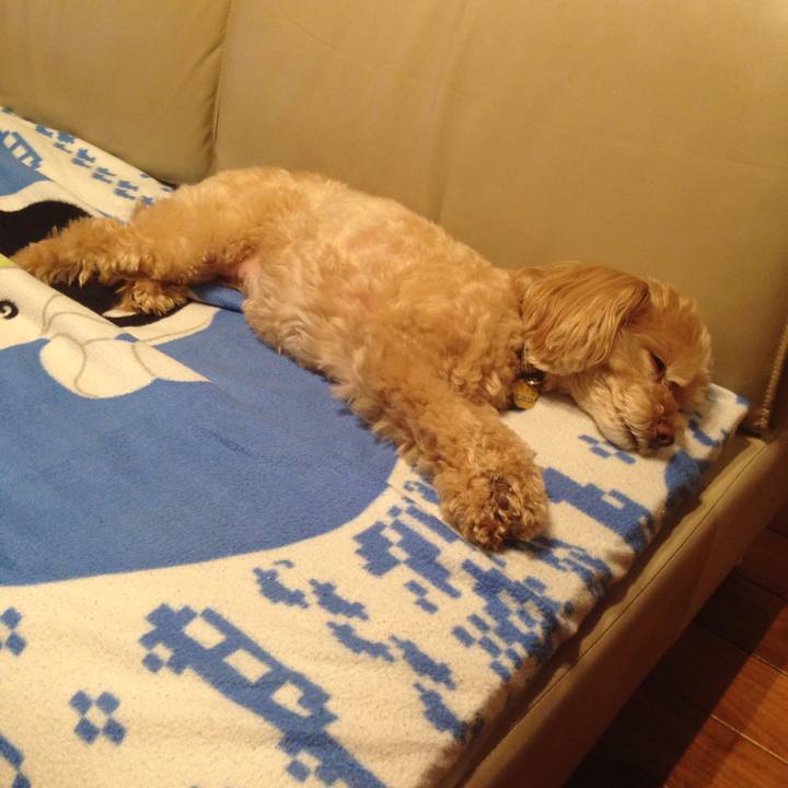 758d8be4 18f0 402f a7fa a3243ee8f70e