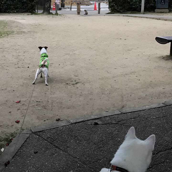 758dfec8 8151 4d77 8504 1a507eaad806