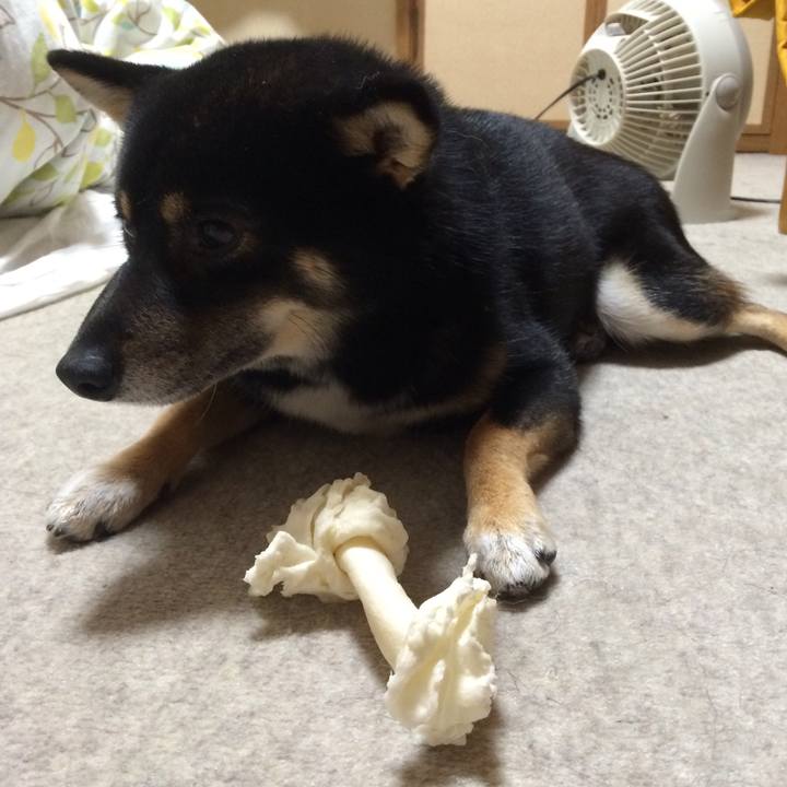 758e4877 c062 41a4 8448 d3d40d83ca07