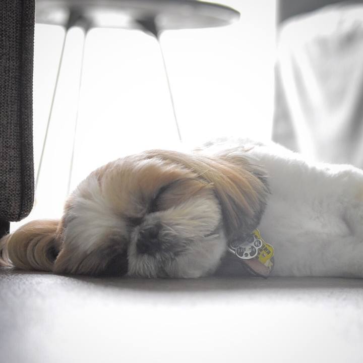 758e51d6 3bf3 48de b651 d2be515264c2