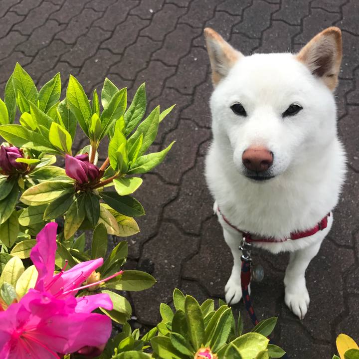 758eb9ac 91d9 48ab 92bf aaa9e72a8fb0