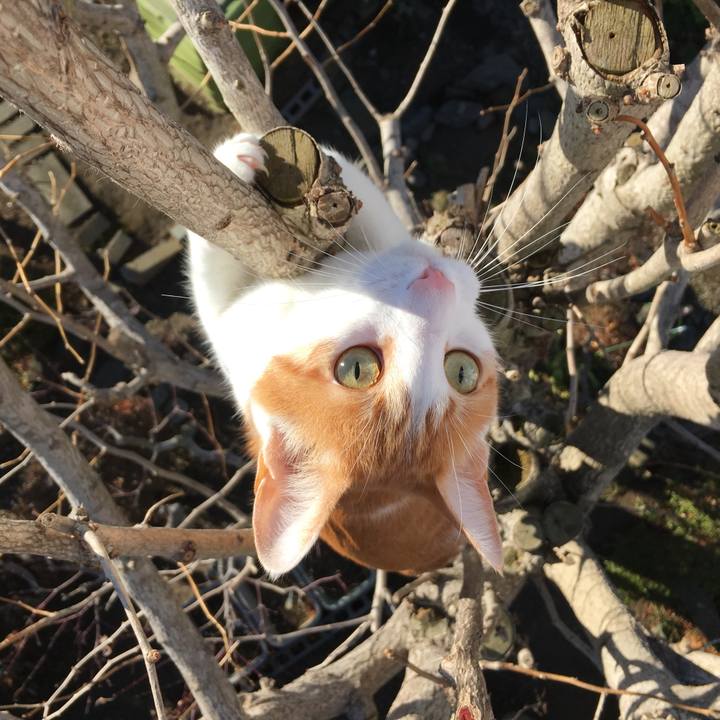 758f870f 9d2b 4b67 94d2 772b10b6d9a9