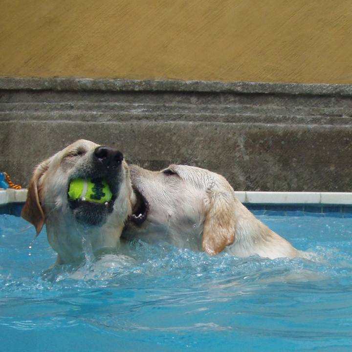 75901323 adfc 43a6 a8e1 c84d372a1adb