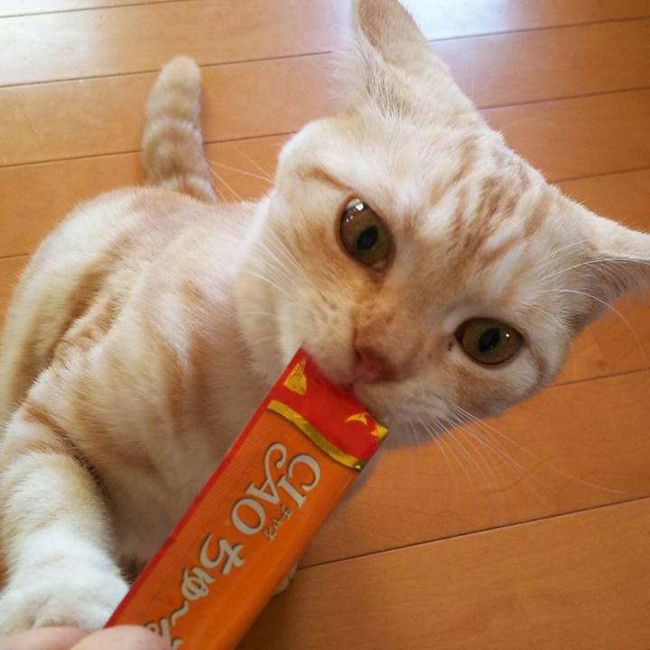 75901573 78b1 4a25 ad4e 1b0f9f993011