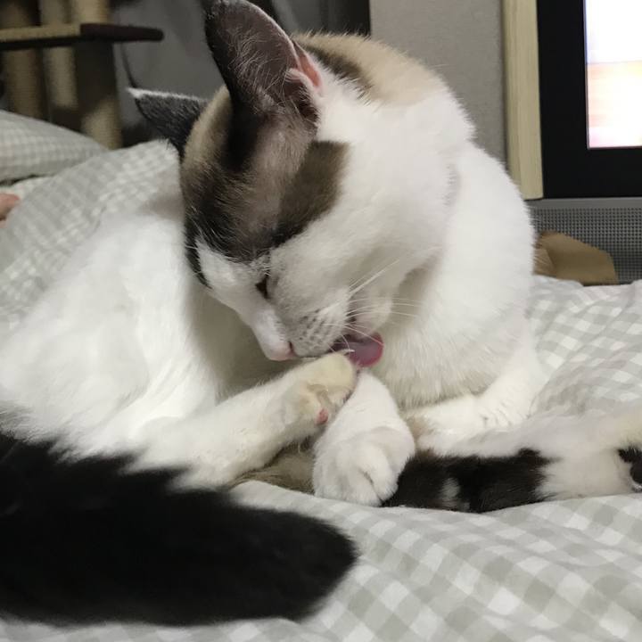 75901c37 d6e8 4395 bd5c 1e55fc7c0204