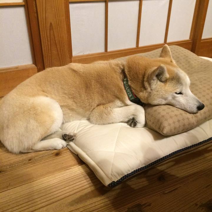 7590ff0f bde4 4327 8315 639faef47f5e