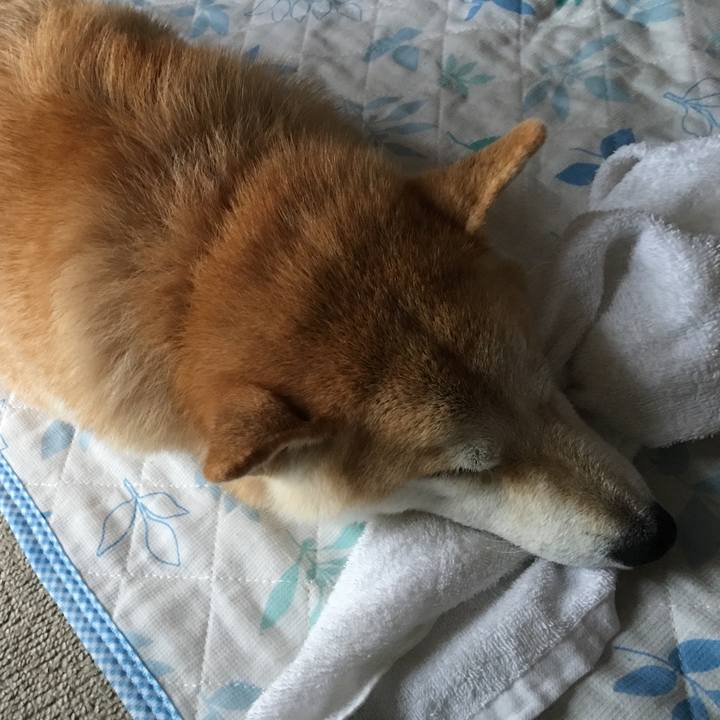 759128c2 7ebb 48ec 9469 fec40c13c6af