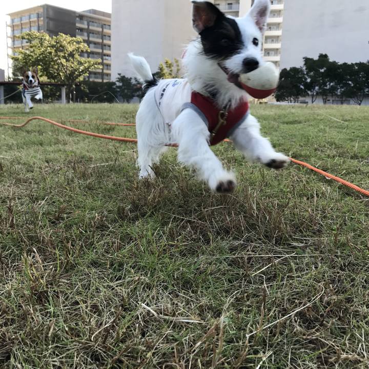 75929c23 ebb3 4db3 b5ce ad3066595257