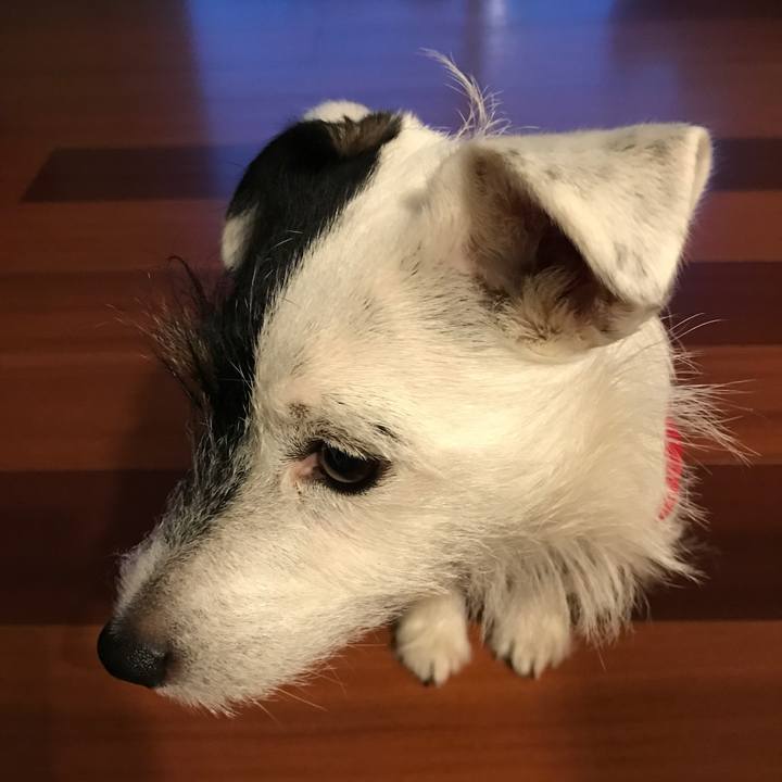 7592c273 3664 4340 a4a5 a2f685a9cf47