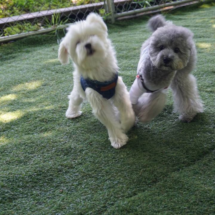 759319c5 1763 4b1f 85fb e41a0a36e5fb