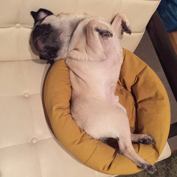 7594069c 21f3 4c43 bf47 7588e063cbbb