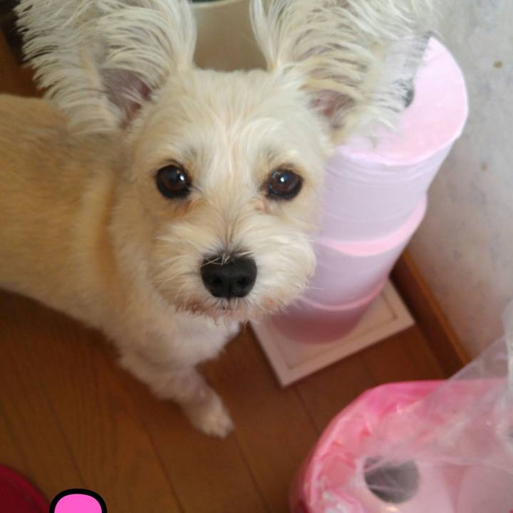 75949794 88e8 4fcb b378 e771b5b3caff