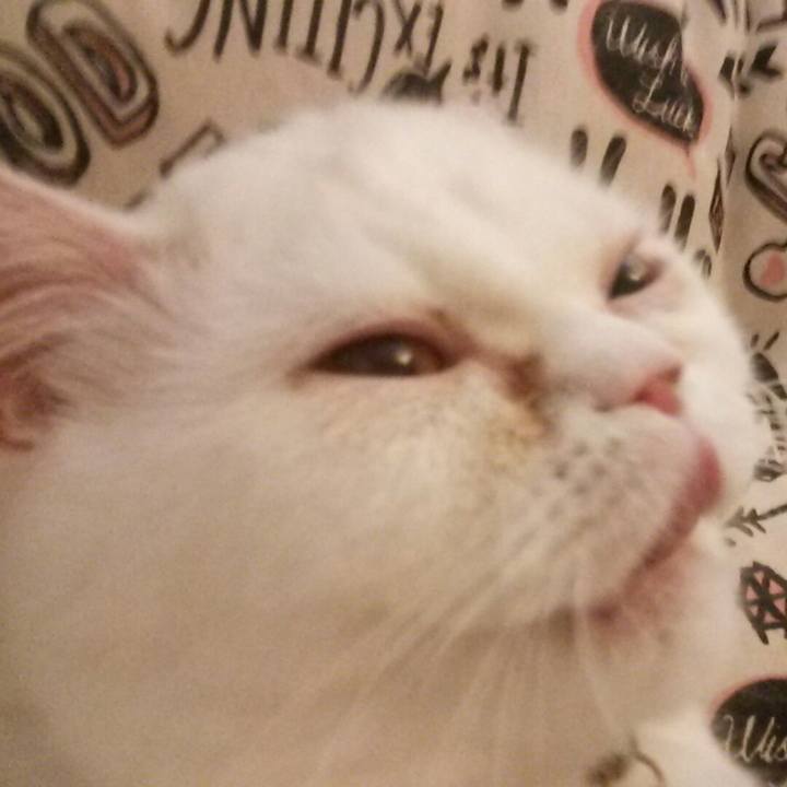 7594ad6c ea17 4a15 8b42 b4ea129a6e90