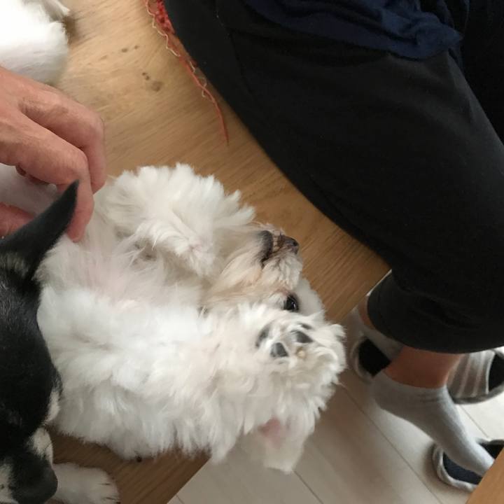 7595a602 0398 4654 8a94 647bb4a6f5ab