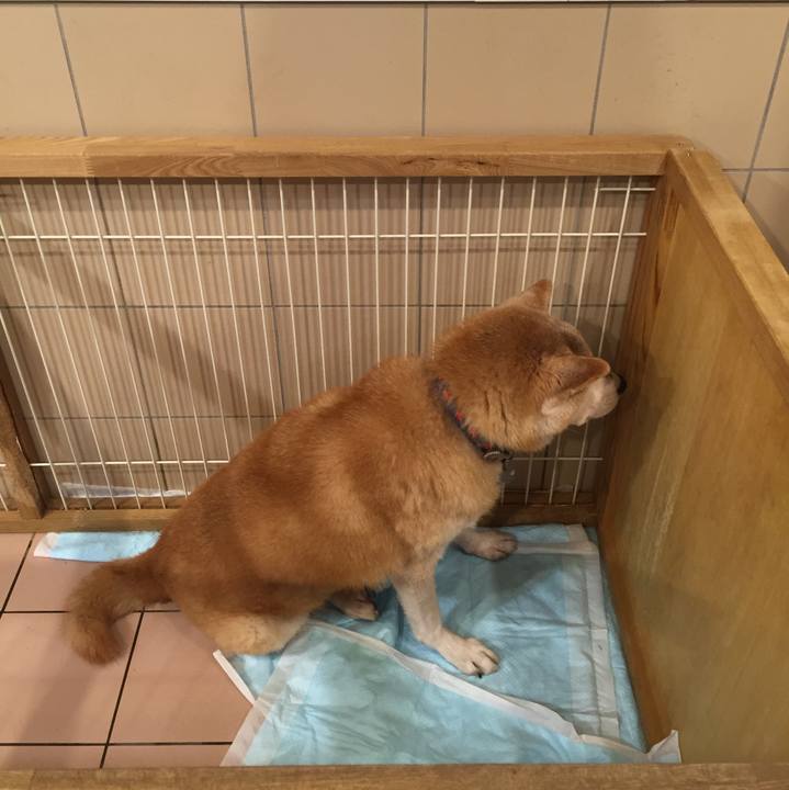 7595c929 02d3 477f bbb9 25f31fa09c1d