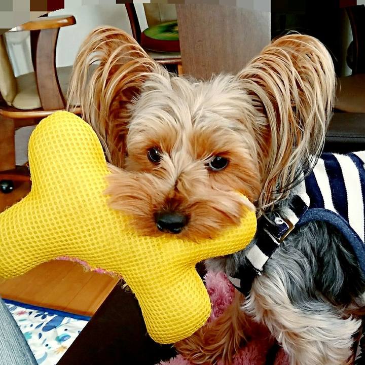 75963530 e468 4ea9 87af 886c3cbd0d16