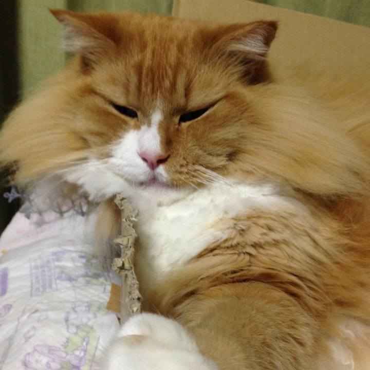 7596abb4 e5e2 4257 a6b1 6d6d660311c6