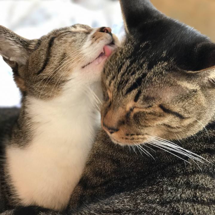 75976d50 b7be 467d b7c6 c7fde263fd31