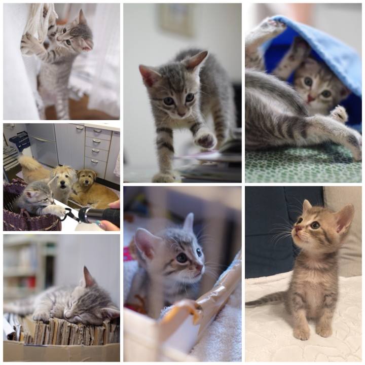 7597fde5 23d6 4d06 8427 1f81862aac6f