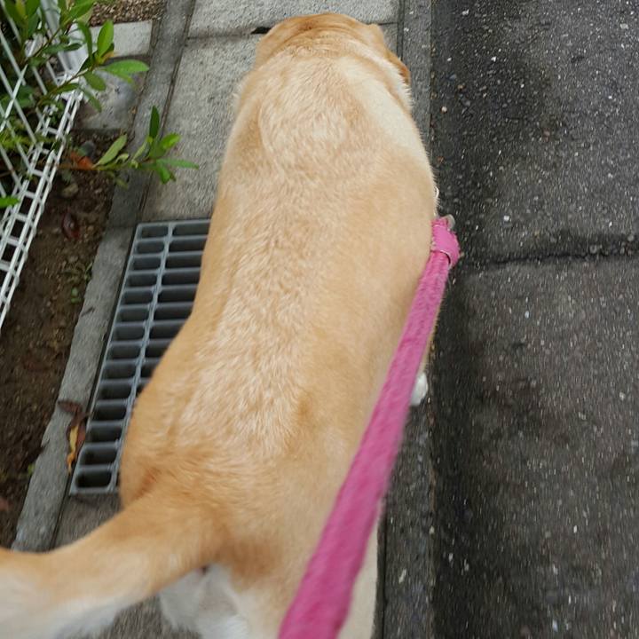 759839f5 046a 409e bc16 f355d1e72fd9