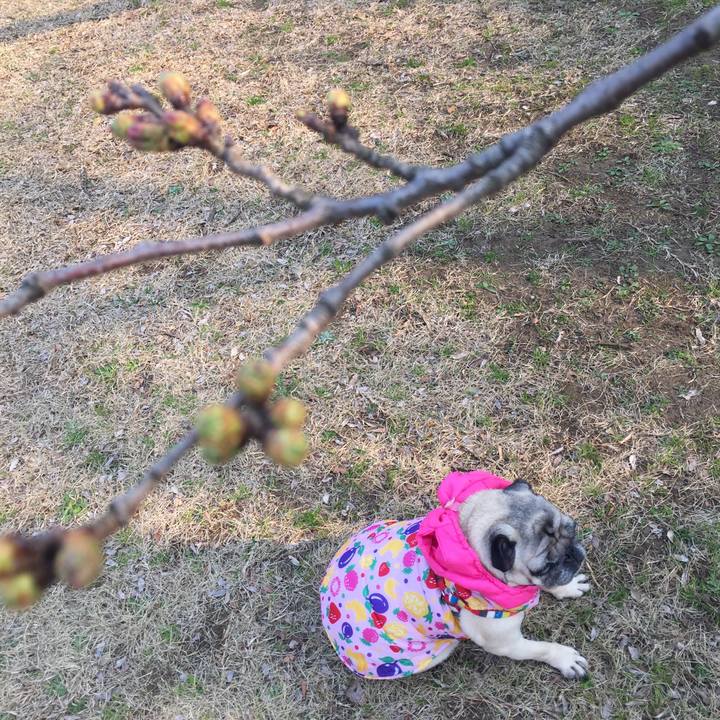 75990749 03c6 494d b34e 8b6e8250d7b4