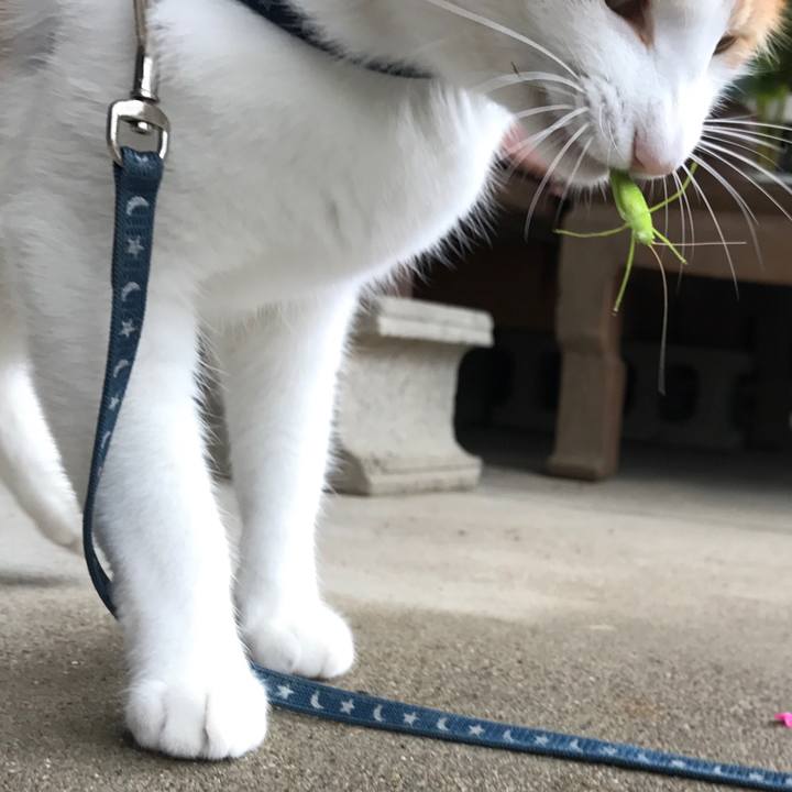 75992d8c 40fa 40ff 8668 082507f08c48