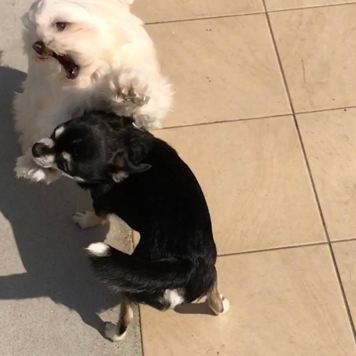 75995924 8628 4178 82cb 5a6a5a29bd10