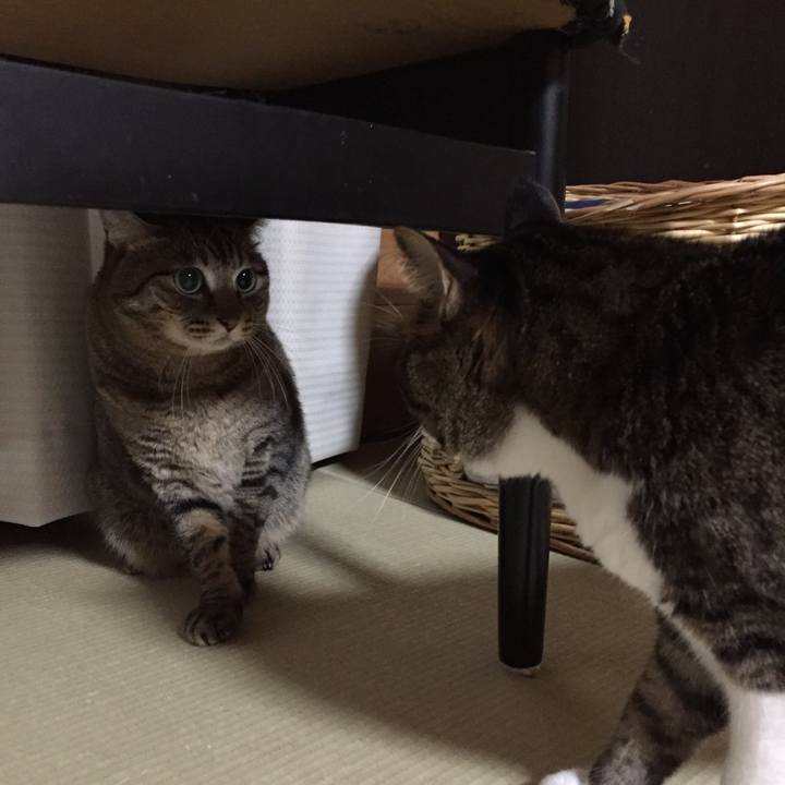 75999b35 0e99 477a bf7e a947515f47e0