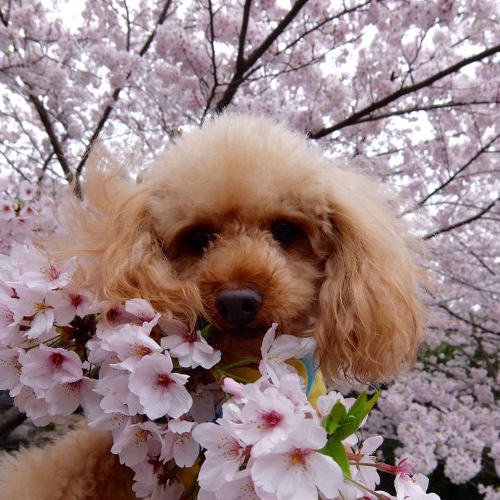 759a4ff0 89fb 40c9 9380 cac8f6d0ae7e