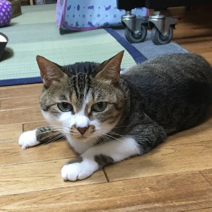 759b713d bbfd 4b2a aa7e 51e947b94870