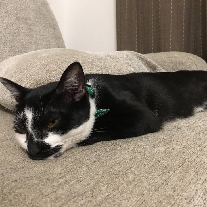 759bb67b cdf3 483f 8d8c 1d66b751f483