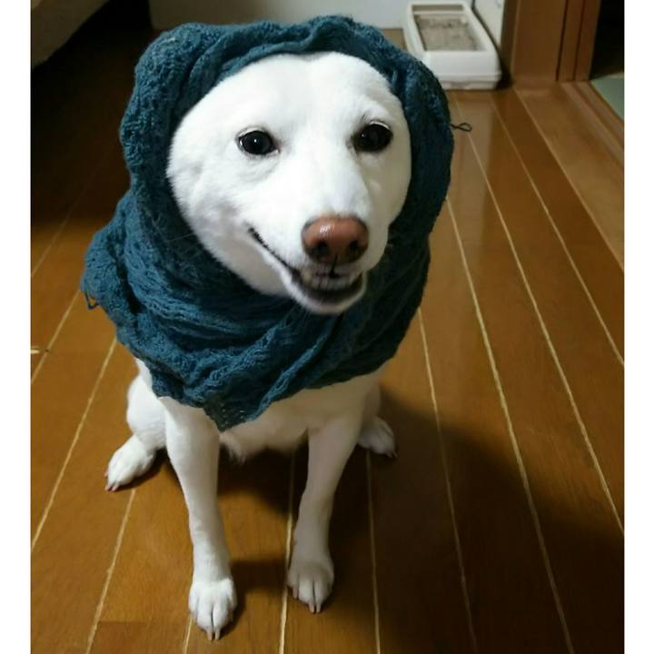 759c2d08 9156 4038 9de7 71334e02371f