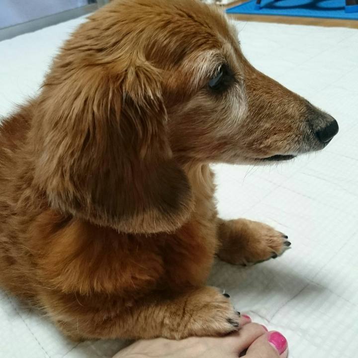 759c5e7b 17c7 49e4 9c85 bed058d973e5