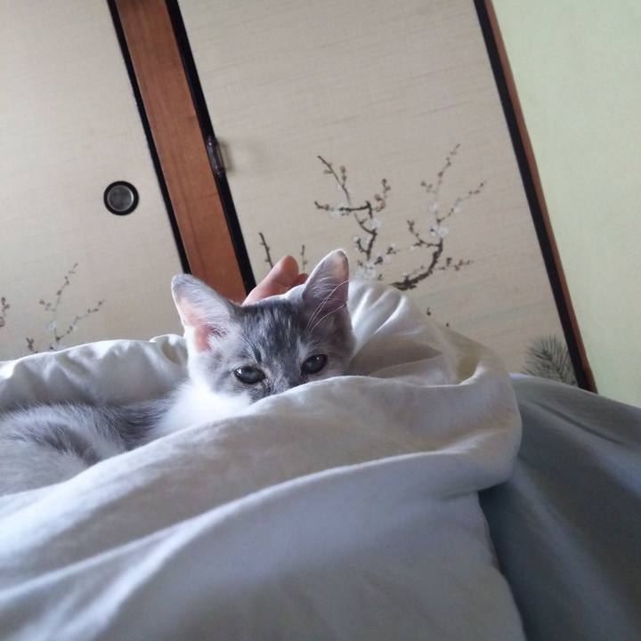 759cc803 fa50 4243 914c 4c102041ca09