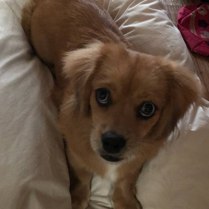 759cce7a 162f 421d aeec c28f1858c951