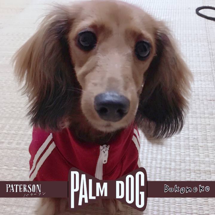 759d16f5 0b39 4b24 951b e5abd6544109