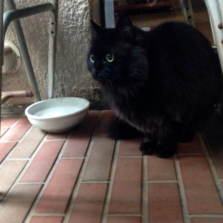 759d43d5 d717 4cd0 bc50 6abdd852ecde