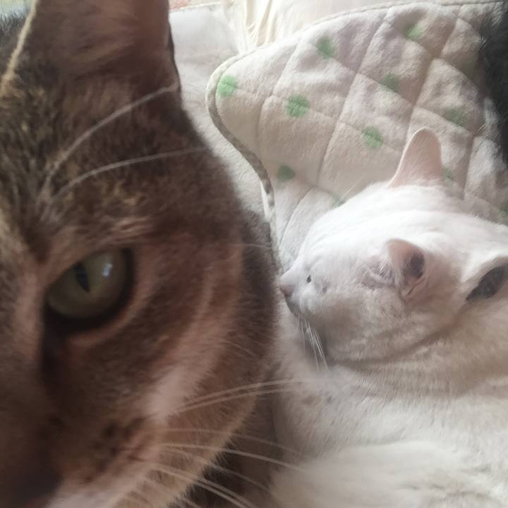 759e4e21 e85c 417c 8c53 d42580e04f22