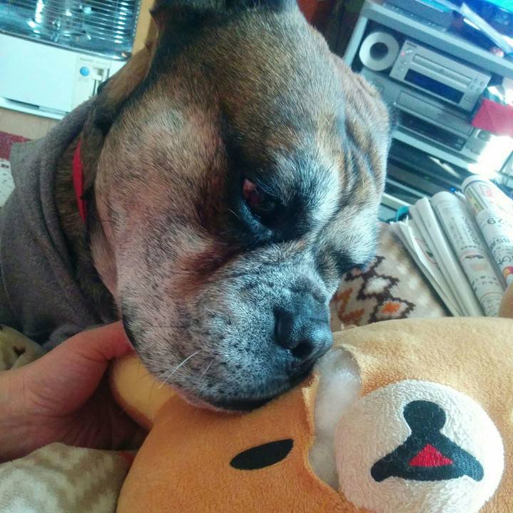 759e4ff5 0a18 417f acfc 6412cfa4d865