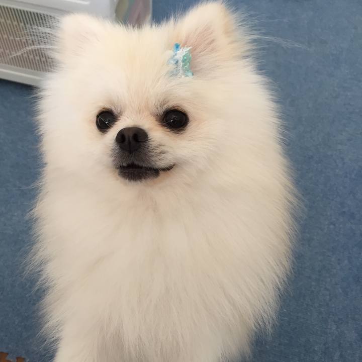 759e5a49 452f 4859 b61c cc48628b740b