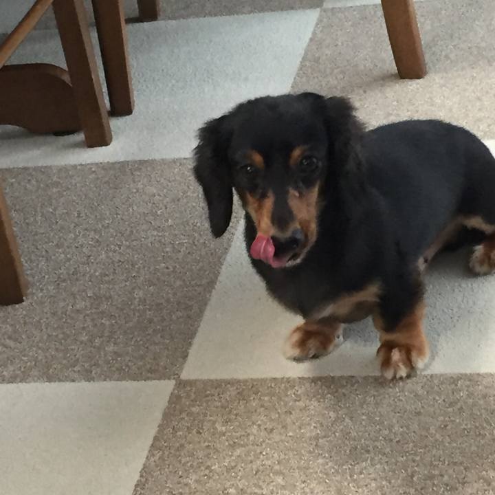 759f2123 2237 47c7 ad3a 784e474414f9