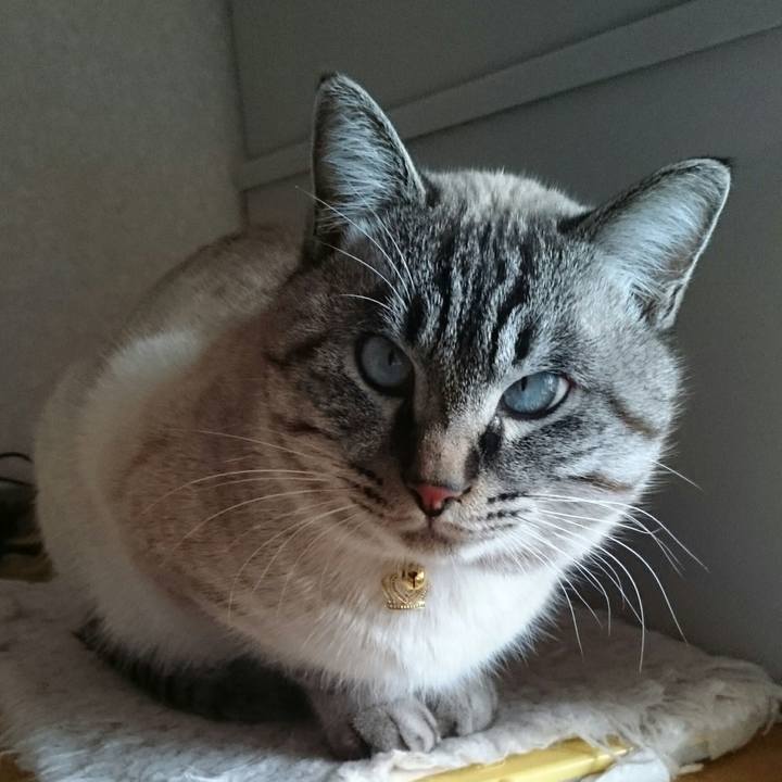 759f3777 a66f 437c ba26 31a8ab81e11f