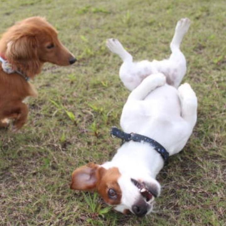 759f410a ea9a 48ee 9ae8 c65422760cab