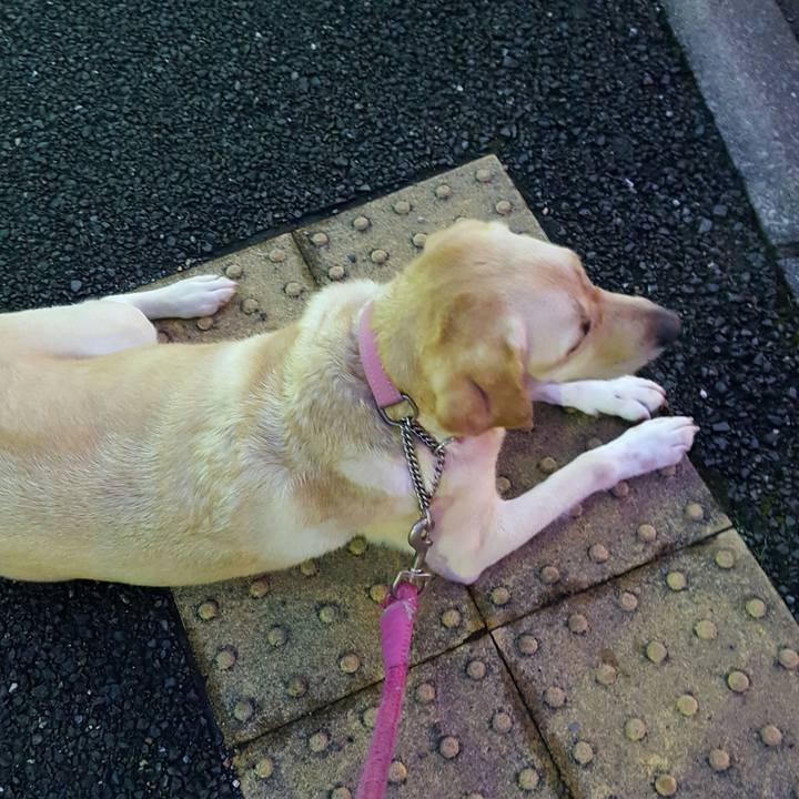 75a0148b d390 4217 9adb c07b18ab8664